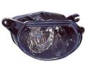 Fog Lamp Assembly, Passenger Side