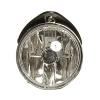 Fog Lamp Assembly, Passenger Side, Driver Side