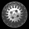 14" OEM Wheel Cover