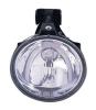 Fog Lamp Assembly, Passenger Side, Driver Side