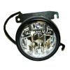 Fog Lamp, Passenger Side