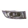 Fog Lamp Assembly, Driver Side