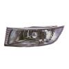 Fog Lamp Assembly, Passenger Side