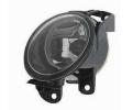 Fog Lamp Assembly, Driver Side