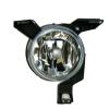 Fog Lamp Assembly, Passenger Side